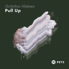 Premiere: Christian Nielsen - Pull Up