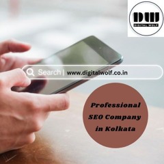 Digital Wolf: Professional SEO Company in Kolkata