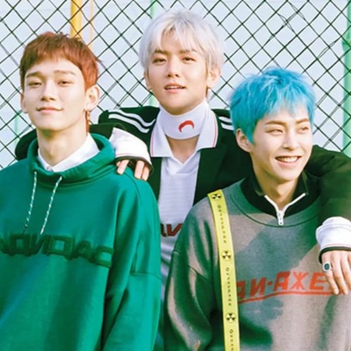 Mix 4 - (Dec 2023) (K-POP) EXO-CBX (엑소-첸백시) Blooming Days (花요일) Album Mix