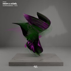 HRSPX & Dübël - HUMMINGBIRDS
