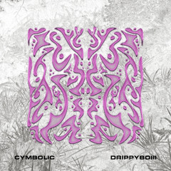 Cymbolic - The Truth [Premiere]