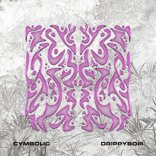 Cymbolic - The Truth [Premiere]
