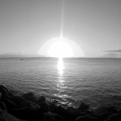 THE WAVES NEVER LOOK BACK