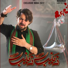 Zainab Zainab (s.a)  --  Farhan Ali Waris  --  2022  -  1444