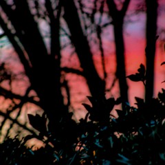 MIX SAINT SYLVESTRE 2023