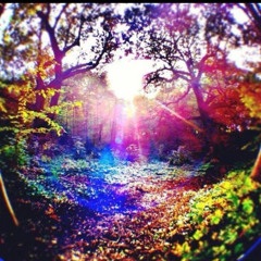 валюта биржа