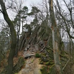 🌌-lost-in-silence-!!!!-🌌