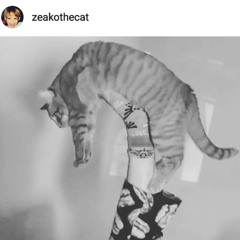 thats pretty deep v1