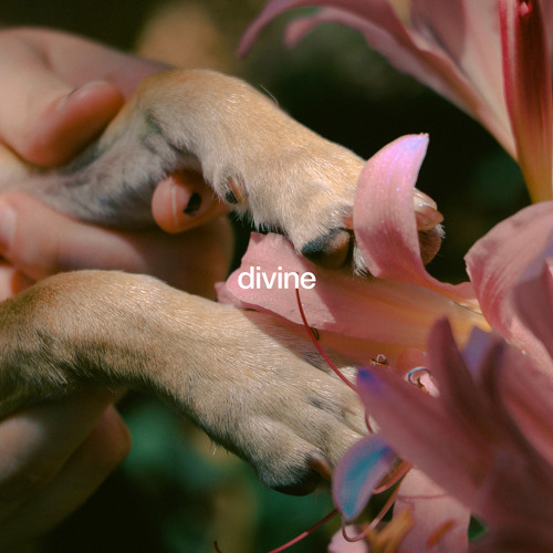 Jordana - Divine