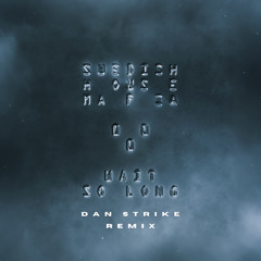 Swedish House Mafia - Wait So Long (DAN STRIKE Remix)