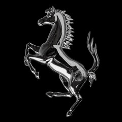 blk horses