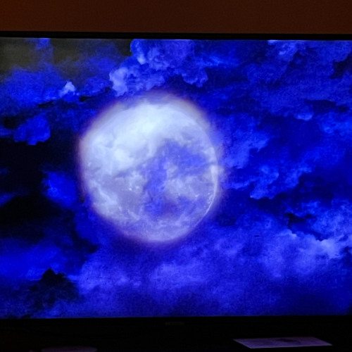 So Funny Hoe you Like to Get Played