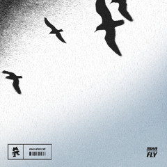 SPORTMODE - FLY