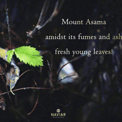 Loops on Ashes (naviarhaiku579)