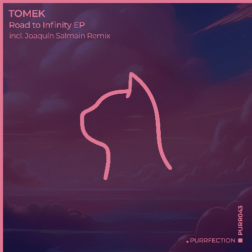 PREMIERE: Tomek ─ Road To Infinity (Joaquín Salmain Extended Remix) [PURRFECTION]
