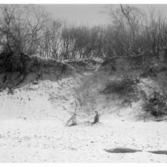 pierre airlines - quicksand ghost