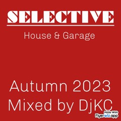 SELECTECTED VOL1 2024 - Mixed by Dj KC
