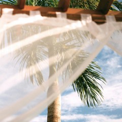Feel breeze bossa