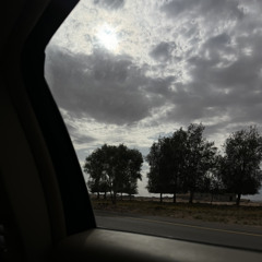 لي حبيبٌ حرت في أوصافه - محمد جمال