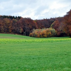 einfach nur ausspannen