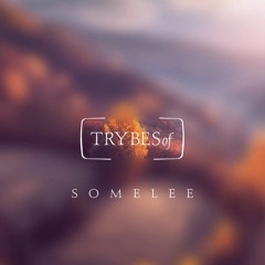 Somelee - "Charisma" EP [TRYBESof]