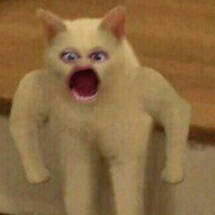 .........ᵀₐᶰⱿₑⁿ ¨¨ ˇ ˇˇ ˇ ¨