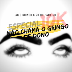 NÃO CHAMA O GRINGO DE DONO (DJ AG O GRINGO & DJ 2D DO PARAISO)