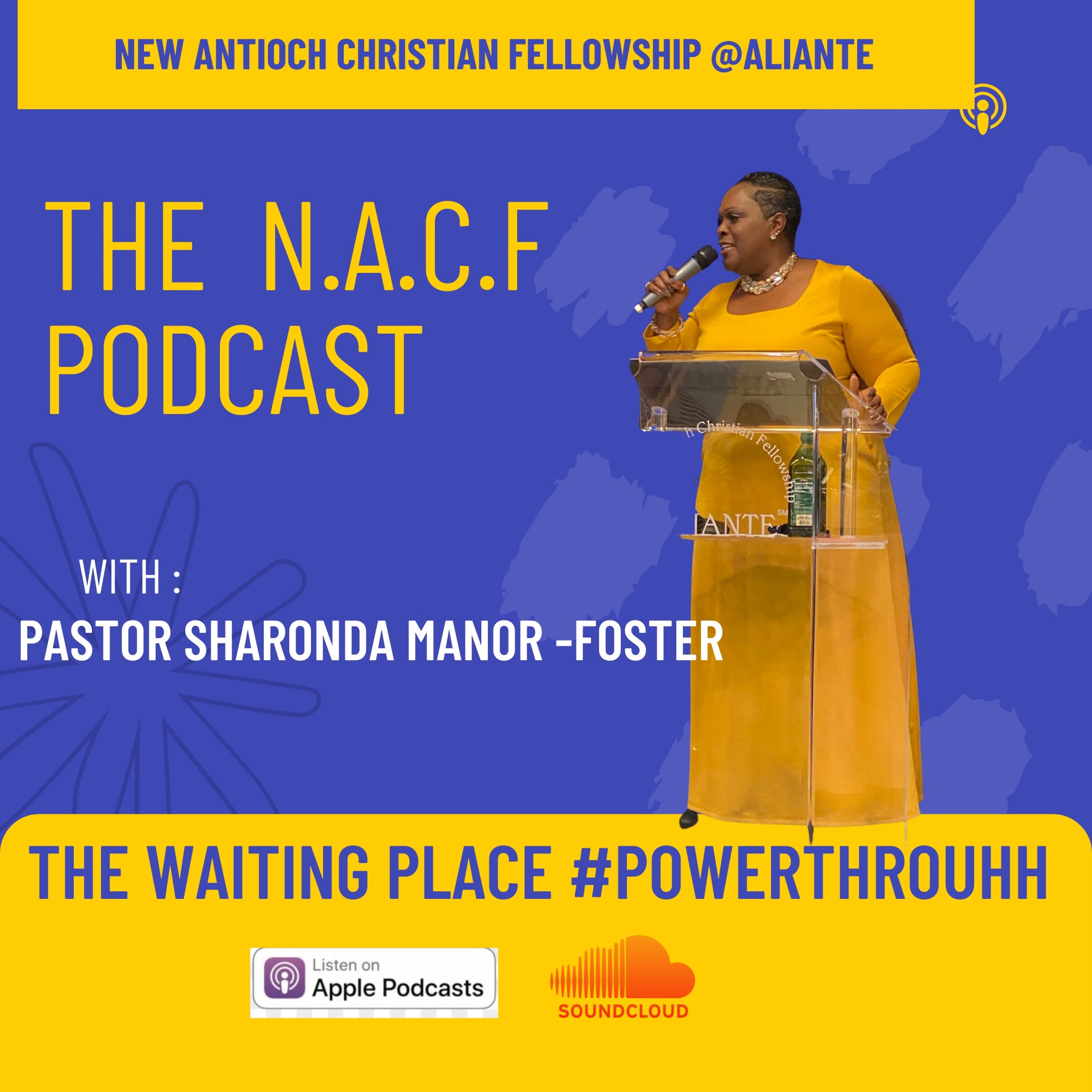 Pastor Sharonda  Manor-Foster/The Waiting Place #PowerThrough episode artwork