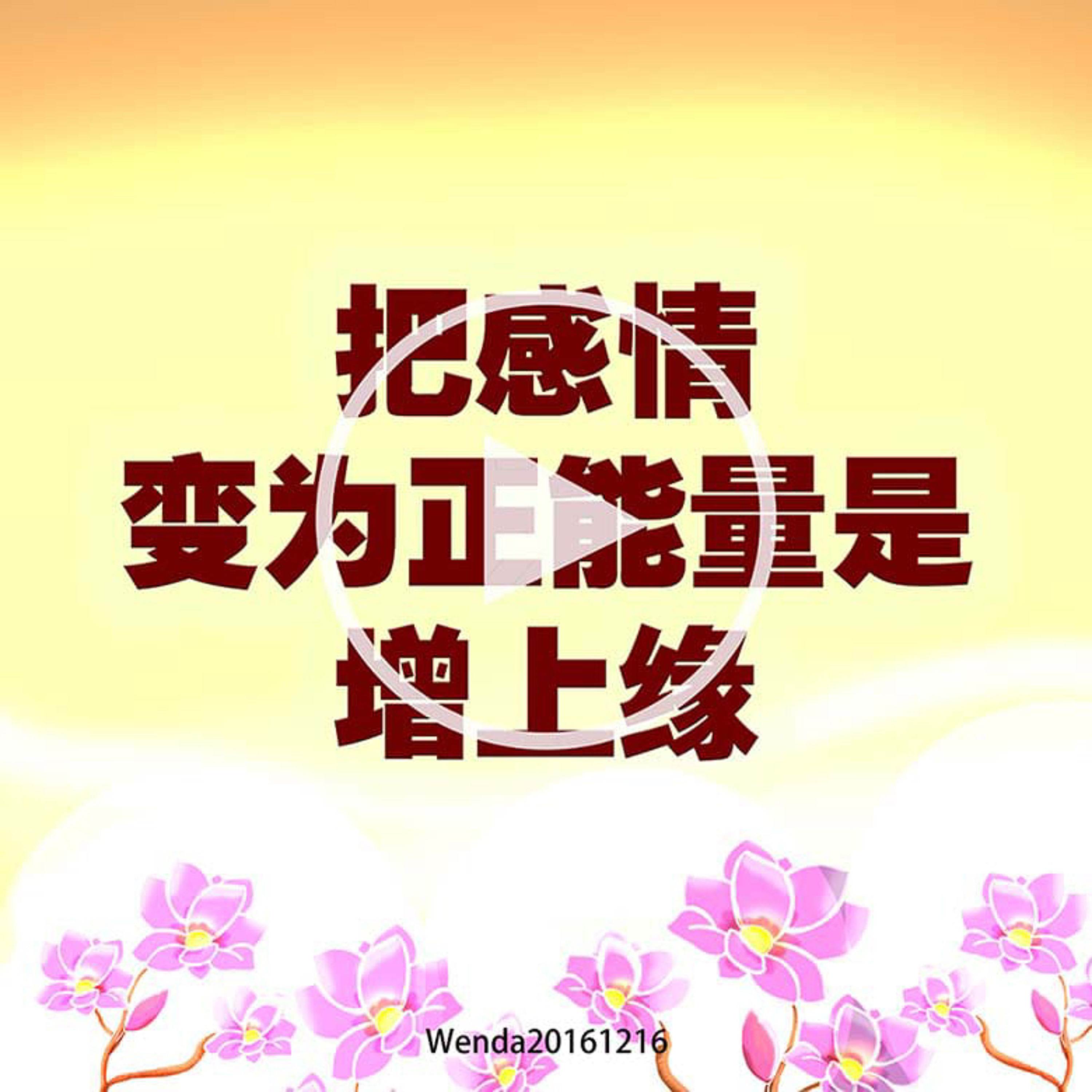把感情变为正能量是增上缘 episode artwork