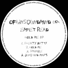 PREMIERE: Emmet Read - Hold Me [Of Unsound Mind]