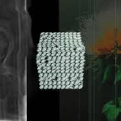 Everything you touch - Tom buld'r