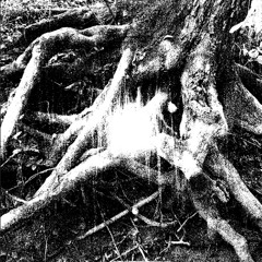 i'll be your lungs (exhale)