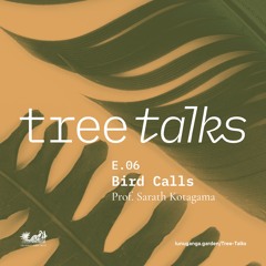 Tree Talks: Bird Calls