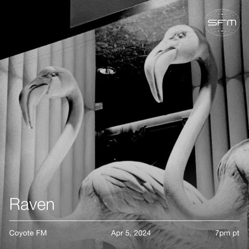 COYOTE FM 4: RAVEN