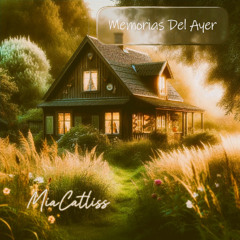 Los Días Que No Vuelven.