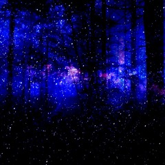 Shimmer (Prod. SliceDies)