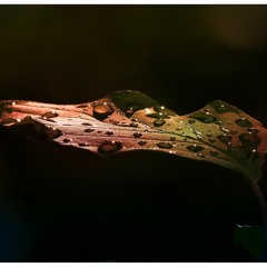 "Summer Rain" Smooth Emotional Instrumental