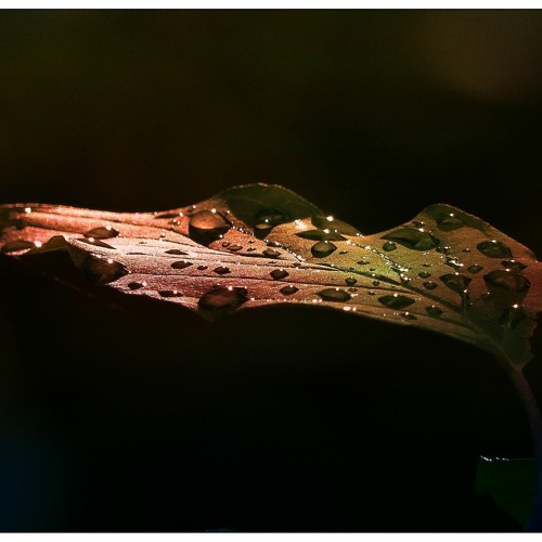 "Summer Rain" Smooth Emotional Instrumental