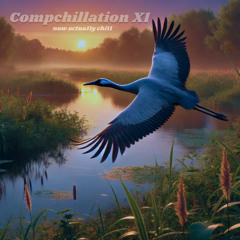 compchillation_xi
