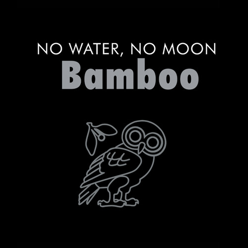 Stream Spin by Bamboo | Listen online for free on SoundCloud