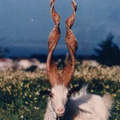 your only chance to survive