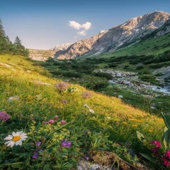 The Magical Valley