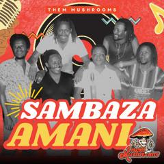 Sambaza Amani
