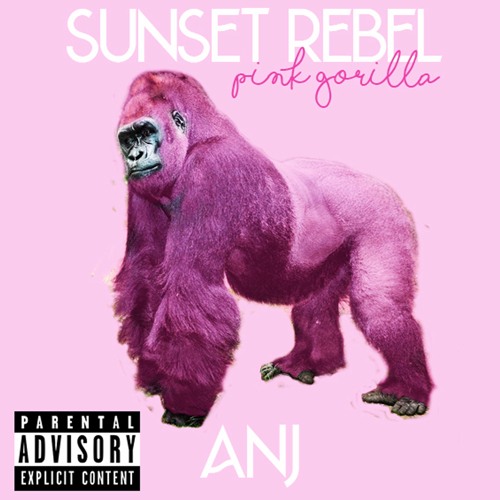 Stream Pink Gorilla (prod. Sunset Rebel) by Anj | Listen online for free on  SoundCloud