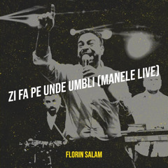 Zi Fa Pe Unde Umbli (Remix BY BRZALINNN)