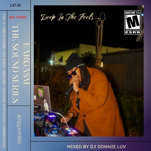 Eargasm Vol. 2: Deep In My Feels | Live Mix & Blends  by DJ Donnie Luv