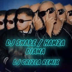DJ Snake / Hamza - Diana (DJ Crizla Remix)