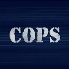 bad boy song cops singer bad boy song cops singer