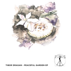 PREMIERE: Tibor Dragan - My Story (Original Mix) [Zenebona Records]