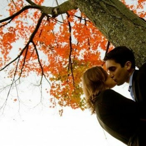 under the tree (odel)
